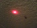 Spider Wrangling Spider Wrangling