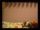 (uploaded by jay33)&nbsp;Jet 2000-C Butane Torch Tri-Flame review