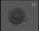 07 Johann Johannson - gu?mmi?sko?r / blackWOMB