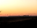 October 15 2009 005