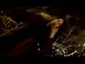    Benediction - Down On Whores
