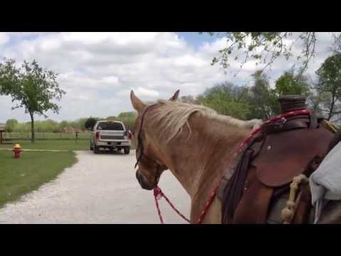 how to practice horse riding at home