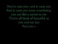 The Spill Canvas- Sunsets and Car Crashes (lyrics)