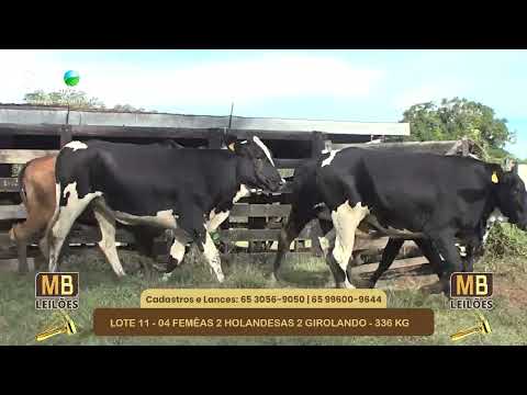 542� LEIL�O VIRTUAL MB LEIL�ES