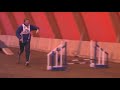 Dami & Remo at agility