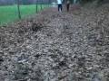 videos de balade avec chiots