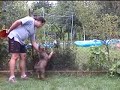 GSD-Artemisz Figo/10 weeks old/ (music: Cameo-Word up)