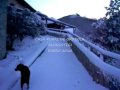 Video screenshot
