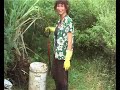 Compost Toilet System