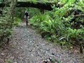 Tree Trunk Gorge Trail Mountain Biking Tree Trunk Gorge Trail Mountain Biking
