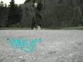 videos de Snippet Flip Shot TReNInk