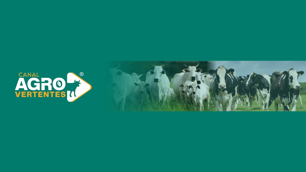 240º LEILÃO MISTO PRESENCIAL E VIRTUAL REAL LEILÕES - SÃO SEBASTIÃO DA VITÓRIA - SJDR/MG - 29/04/26