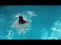 videos de klah - websode 2