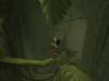 Part 23 of Prince of Persia: Warrior Within Video Walkthrough