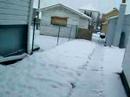 The Last Snow in PA