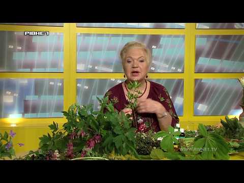 <a href='/Info/?id=81794' >"Зелена планета Земної". Випуск від 09.05.2017</a>