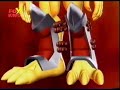 Agumon Warp Digivolve