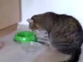 videos de Genuss Essen!