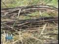 NCN 6 O' CLOCK NEWS TUESDAY DECEMBER 2ND 2008 PART 1