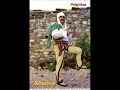 Bijt e Sefes-Oj Kosove ta Puthsha