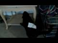 videos de Mean Kitty Video Response 2