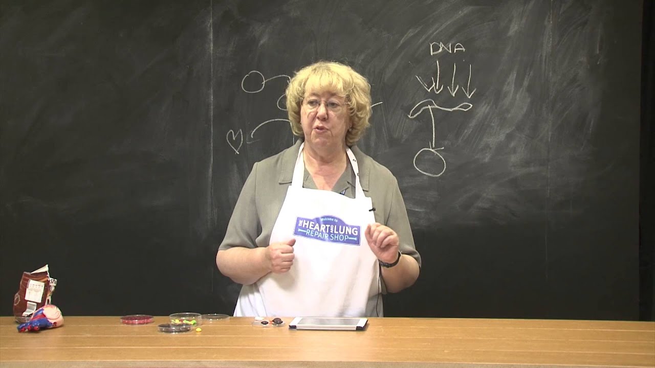 Shop demo - Beating Heart Cells by Sian Harding