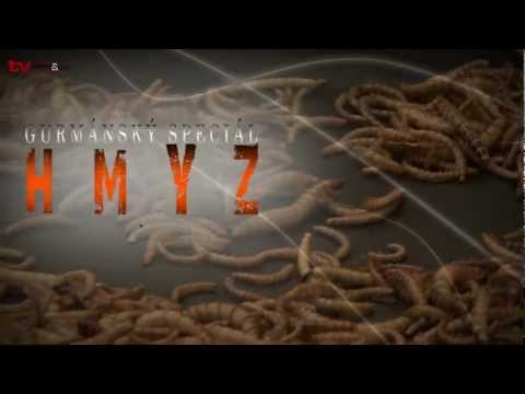 TV Gastro&Hotel: Gastronomický speciál: Hmyz na talíři