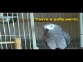 RUBY THE TALKING PARROT (WITH SUBTITLES) PART 2