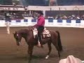 US Arabian Western Pleasure Open Section B US Arabian Western Pleasure Open Section B
