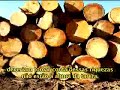 Querem Privatizar a Amazônia Nossa - http://www.curtoegrosso Querem Privatizar a Amazônia Nossa - http://www.curtoegrosso