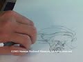 \"The Art of the New Yorker\"- Peter de Seve clip 2