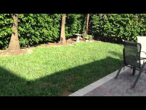 how to zoom in on a ipod touch camera