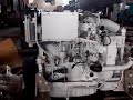 Diesel Ducks at Seahorse Marine V2