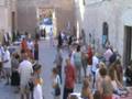 videos de expo palacio almanzora