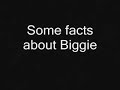 Biggie-Lean back remix