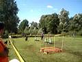 Swinging Sambo :)