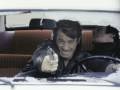 BELMONDO, THE MARVELOUS (New Tribute)