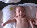 abra cada abra en el cantar abra cada abra en el cantar