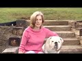 SittingBullies 