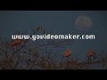 See video