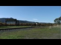 Napa Valley Wine Train: Oakville, California