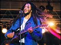 julian marley - lion in the morning.
