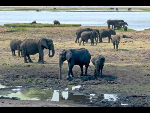 Our Victoria Falls Adventure 2012.mpg