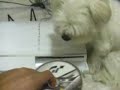PS3遊戲片(GT5P)首航記