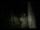 colombian-predator.html