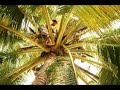 Surf Trip Indonesia part 1