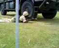 british army show