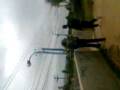 Bailasion rancia xdd el ocio k9