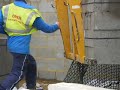Hod Carrier