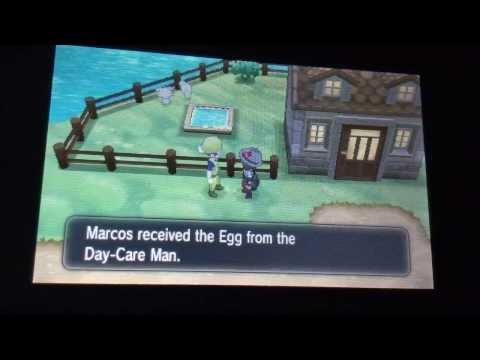 how to get more eggs in pokemon y